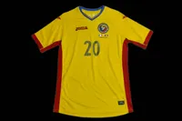 Constantin Budescu 2015 view 1