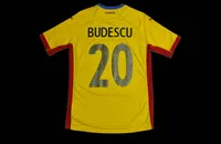 Constantin Budescu 2015 view 2