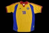 Ionel Ganea 2000 view 1